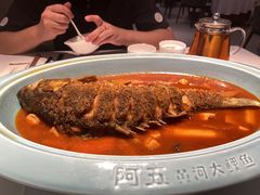 -阿五黄河大鲤鱼(英协路店)