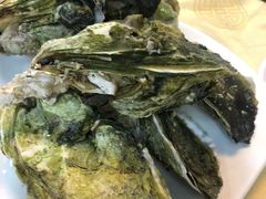 桑拿蠔-天宝食坊·啫啫煲大排档(西华路店)