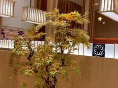 大堂-胜博殿日式炸猪排(西红门店)