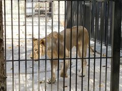 -广东茂名森林公园