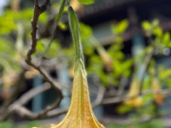 -天龙八部武侠城