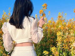 -瑶湖郊野森林公园