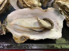 高压锅生蚝-美人万三·蚝大人生蚝小馆(昌里路店)