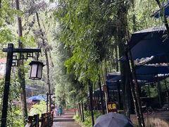 -都江堰普照寺