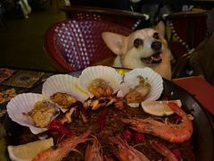 -BROWNSTONE布朗石西班牙餐厅(富城店)