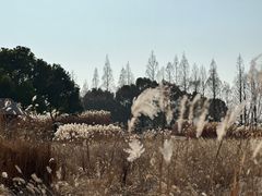 -良渚古城遗址公园