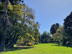 -墨尔本皇家植物园