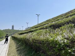 -长春净月潭风景名胜区