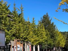 -洛阳白云山景区