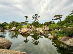 -罗红摄影艺术馆