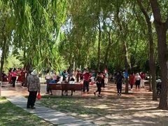 -长春公园(普阳街道)