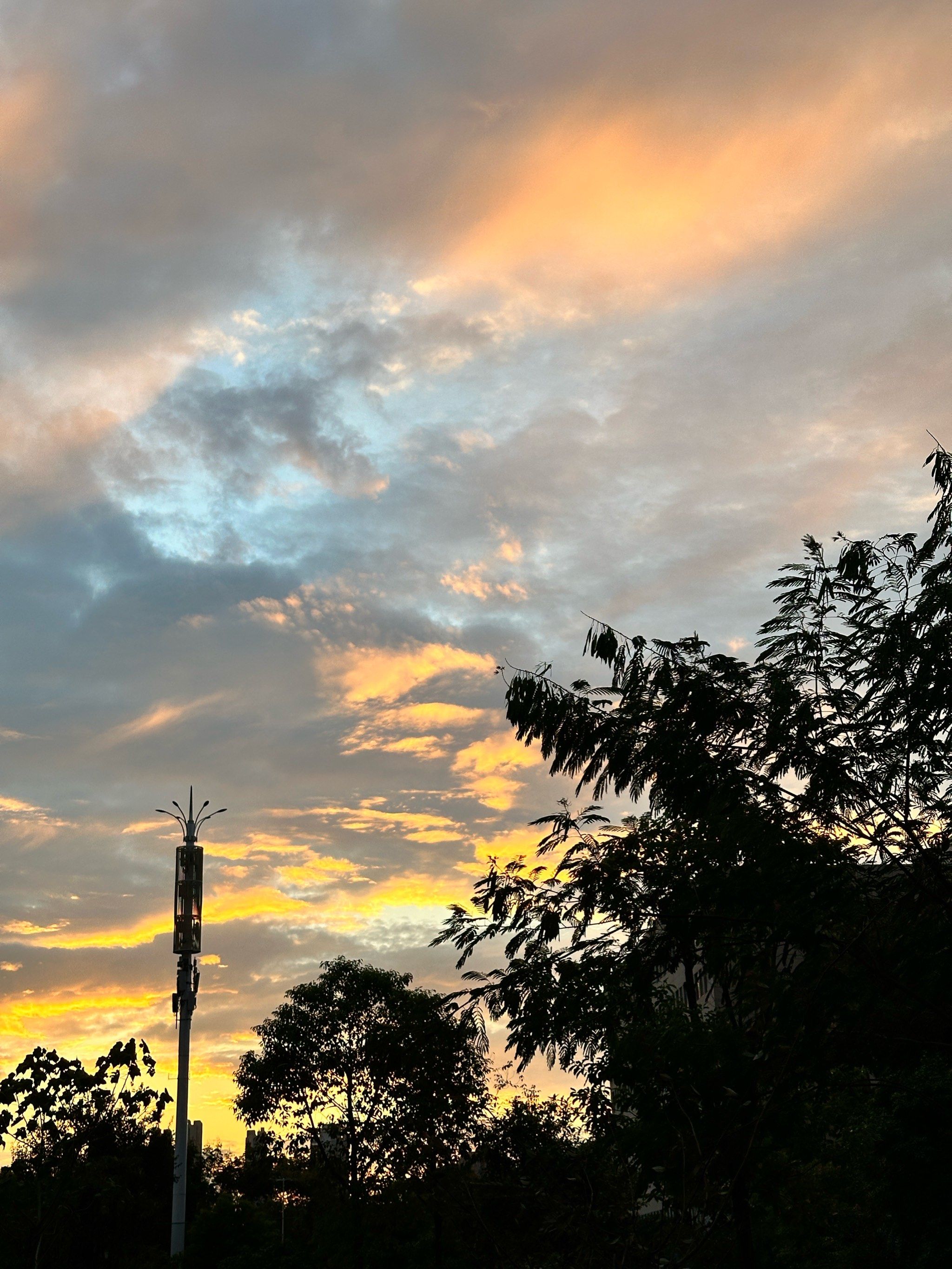 公园里的自然时光