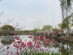 -雀蓝川菜(滨湖万象汇店)