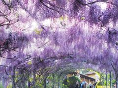 -圣母百花圣殿