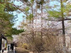 -长春市南湖公园