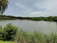 -宜兴龙背山森林公园