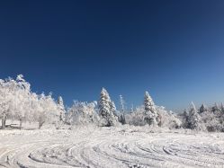 -大秃顶子山