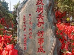 -墨江北回归线标志园