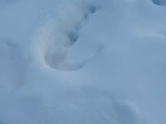 -济南卧虎山滑雪场