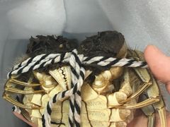 -喜洋洋蟹庄(阳澄湖店)