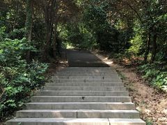 -上海佘山国家森林公园西佘山园