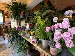 -萤火虫咖啡(后海店)