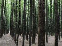-山王坪喀斯特国家生态公园