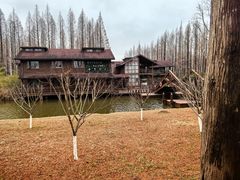 -黄海国家森林公园