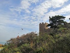 -灵山岛风景区