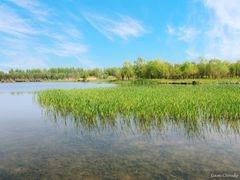 -溱湖国家湿地公园