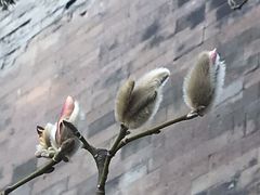 -东华门大街小区