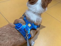 -MARSMART PETS火星宠物超市(1733店)