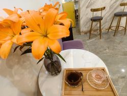 -FUMEIHUI·科技美肤·美体SPA