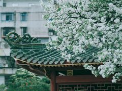 -中山公园