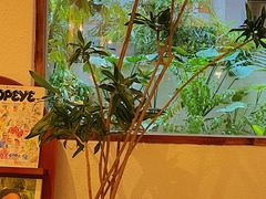 -Kekimatata 生日蛋糕·烘焙教学