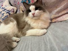 -悠米私人影院(街道口店)