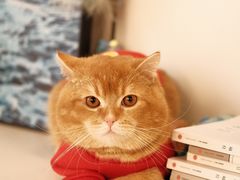 -松松咖啡