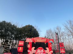 -合肥滨湖国家森林公园