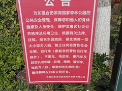 -合肥滨湖国家森林公园