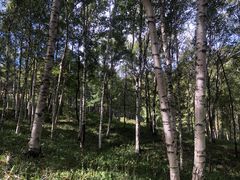 -白草畔自然风景区