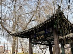 -桃花堤公园