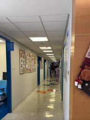 -杭州贝瑞斯美华妇儿医院·早孕·产检·儿科