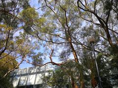 -大埔公路-马料水段香港中文大学(公交站)