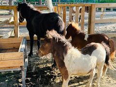 -水上乐园·欢乐世界