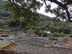 -杨家堂村