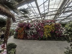 -南宫五洲植物乐园