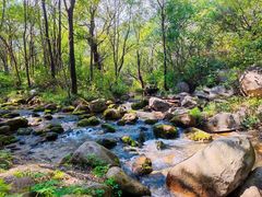 -玉渡山自然风景区