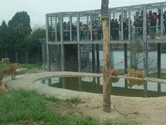 -西安秦岭野生动物园