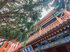 -蓬莱阁景区