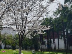 -堤角公园